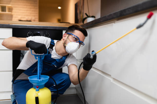 Pest Control Cost in Dallas, TX