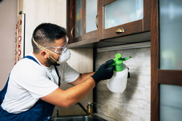 Best Residential Pest Control  in Dallas, TX