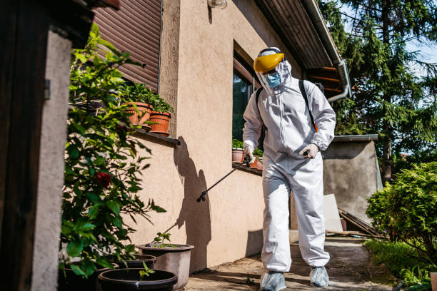 Best Pest Control for Businesses  in Dallas, TX
