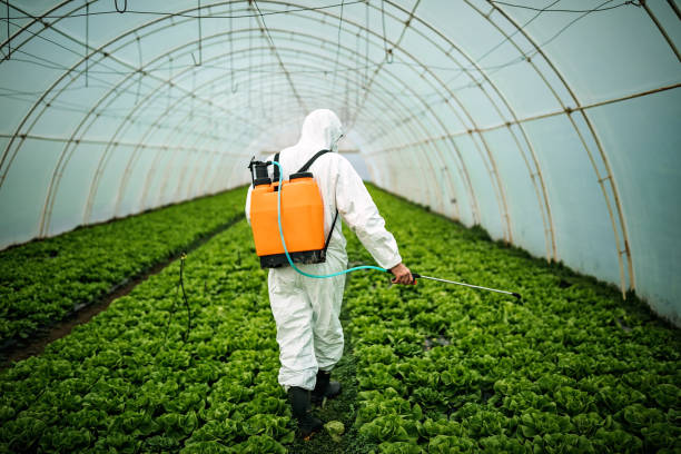 Best Best Pest Control Companies  in Dallas, TX