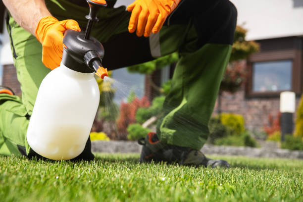 Best Termite Control Services  in Dallas, TX