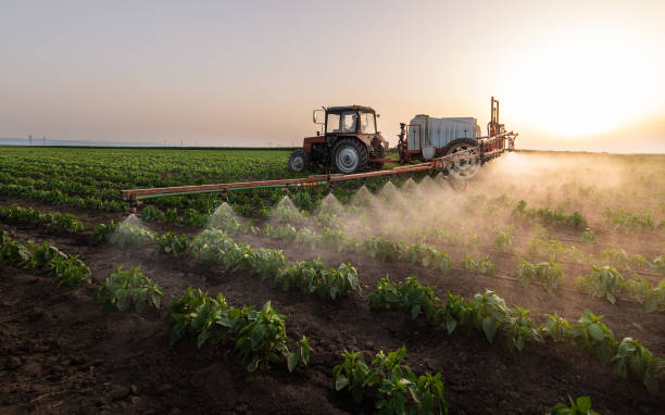 Best Commercial Pest Control Services  in Dallas, TX