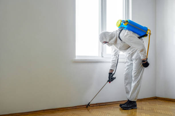 Best Best Pest Control Near Me  in Dallas, TX