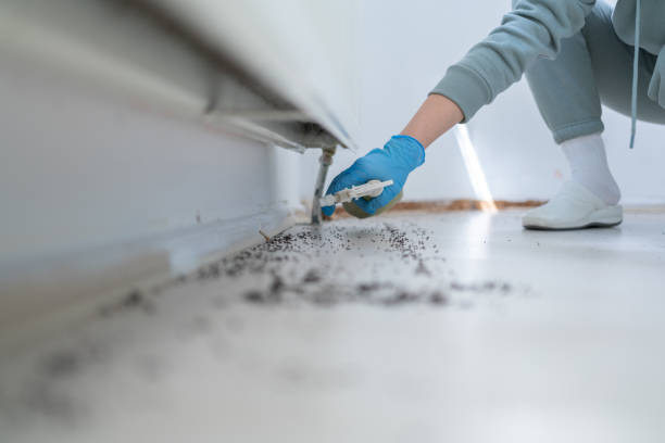 Best Pest Removal Services  in Dallas, TX